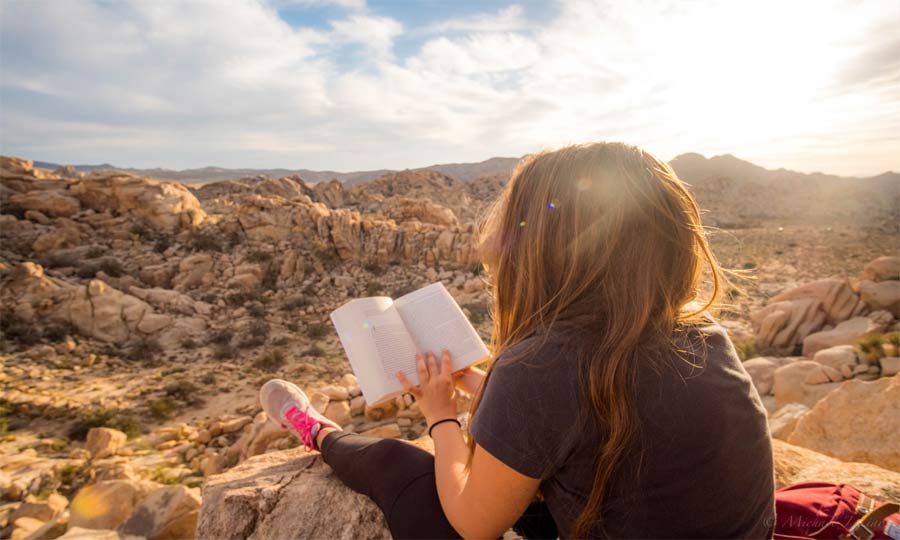 What is the best time to read books on day? Morning, afternoon or evening